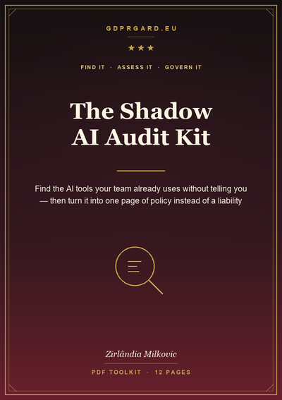 The Shadow AI Audit Kit